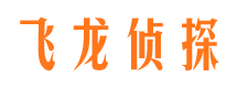 北辰市侦探调查公司